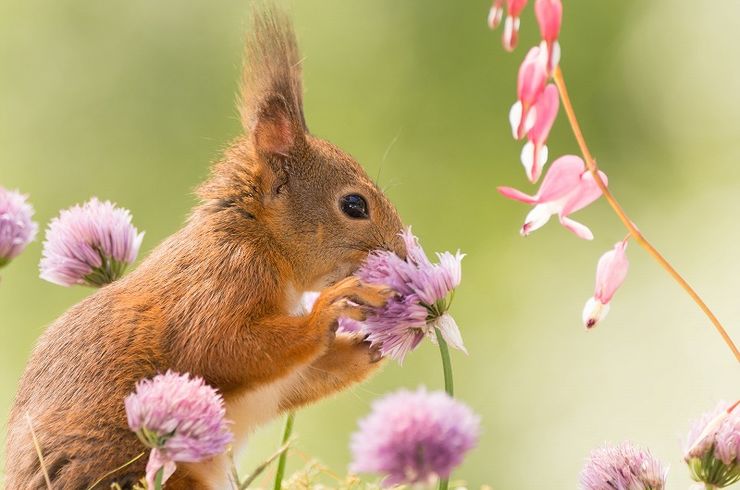 必要とされる理由 (1)